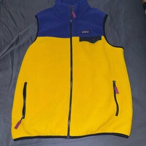 Patagonia Vest in Blue and Yellow